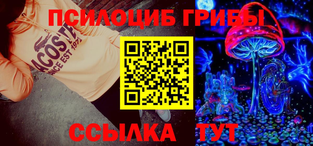 Псилоцибиновые грибы мицелий Печора