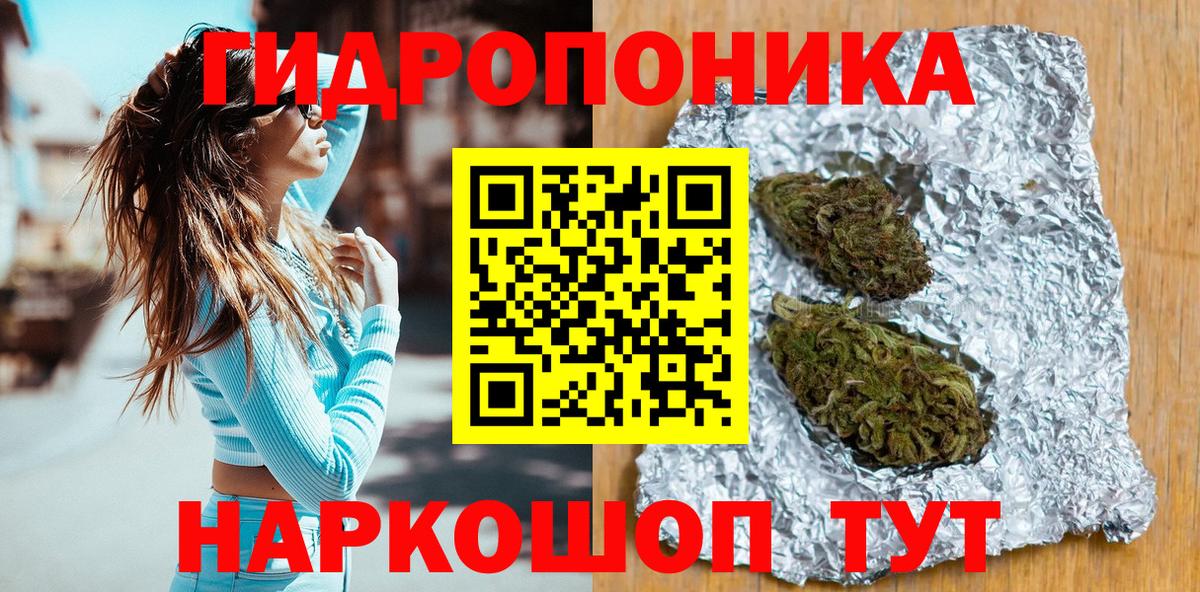Конопля планчик Печора